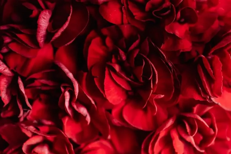 color-red-spiritual-meaning-symbolism-psychology