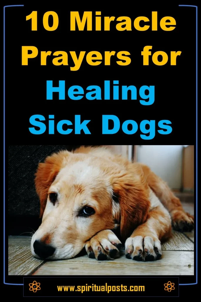10-miracle-healing-prayers-for-sick-dog