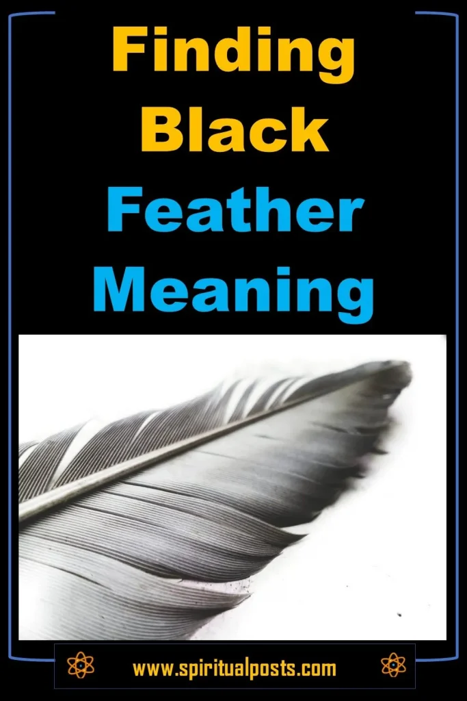 finding-black-feather-meaning