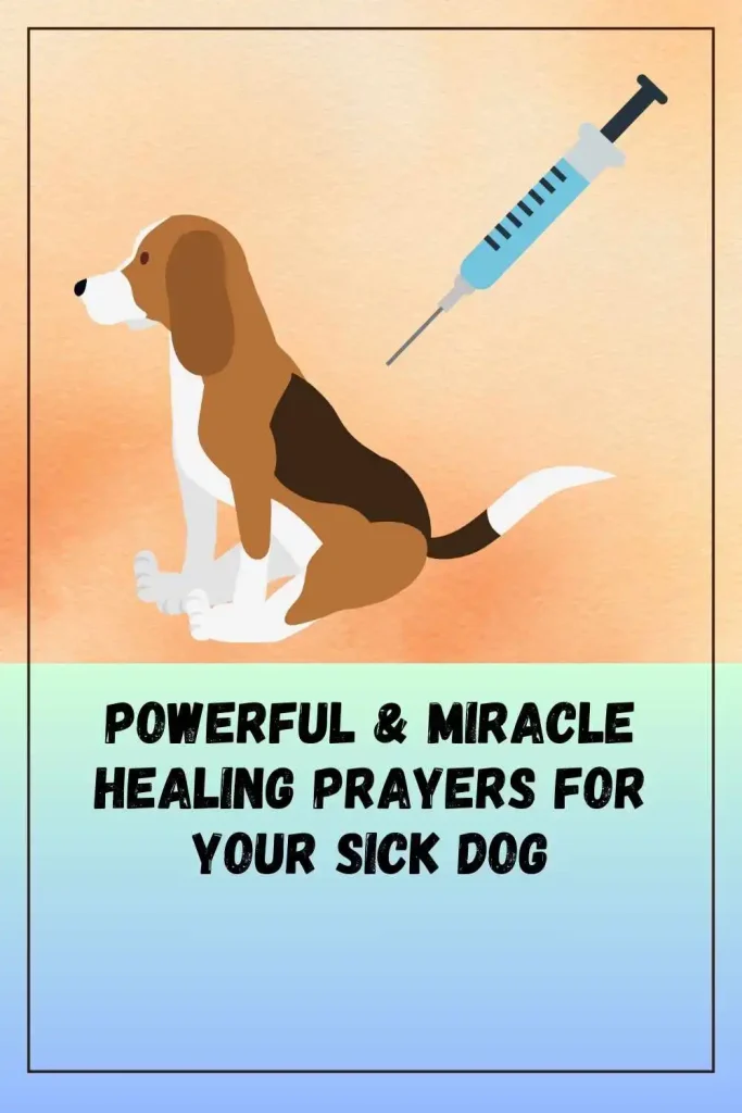 miracle-healing-prayers-for-sick-dog