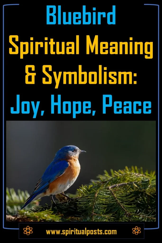 bluebird-meaning-symbolism-love-joy-peace-hope