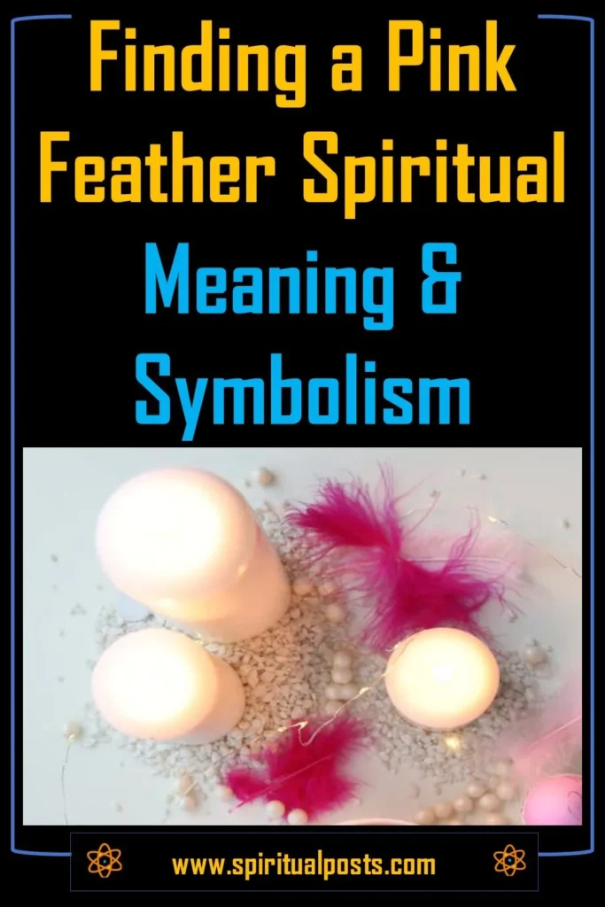 what-does-it-mean-when-you-find-a-pink-feather-spiritually