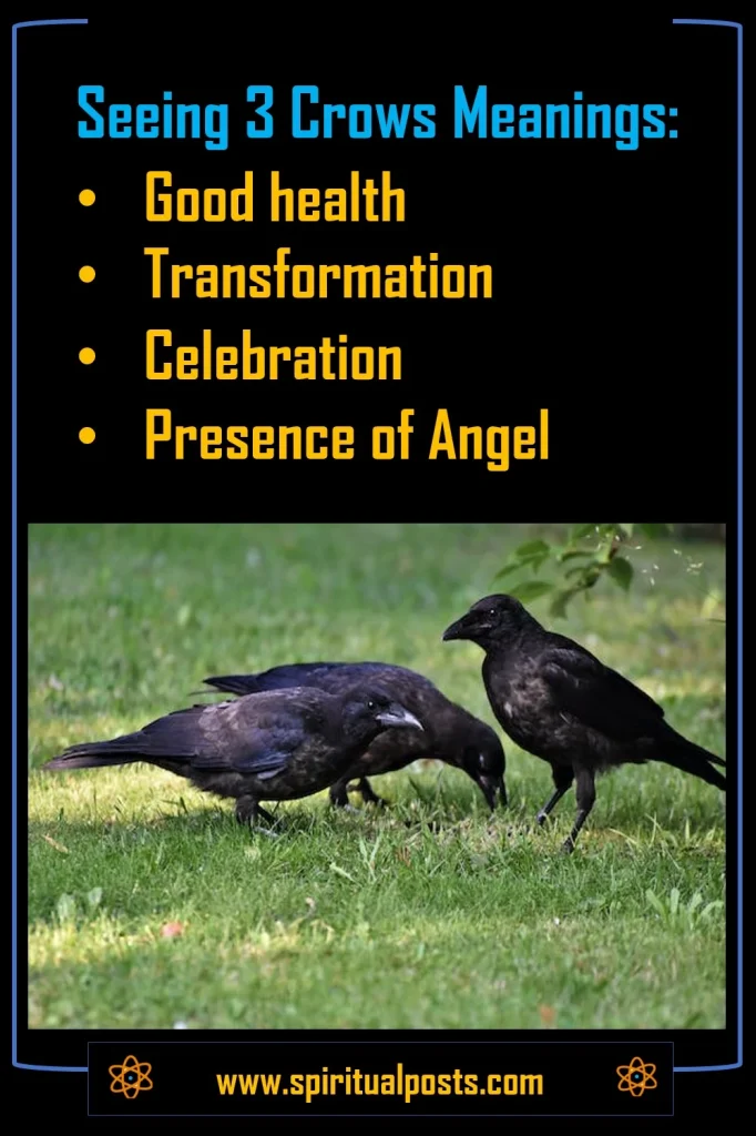 3-crows-meaning-spiritual