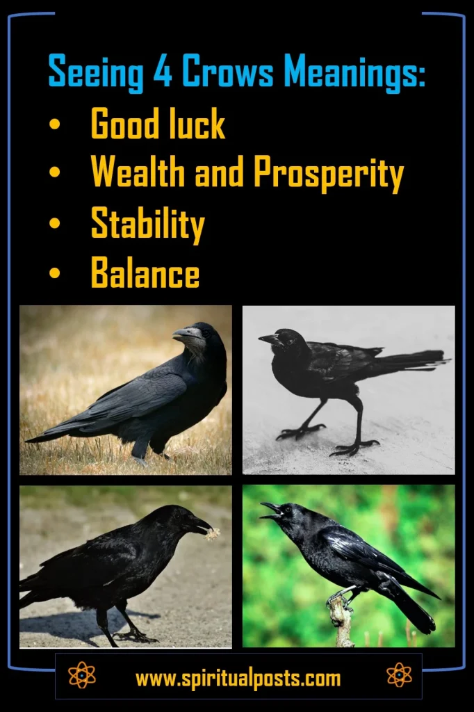 4-crows-meaning-spiritual-cawing