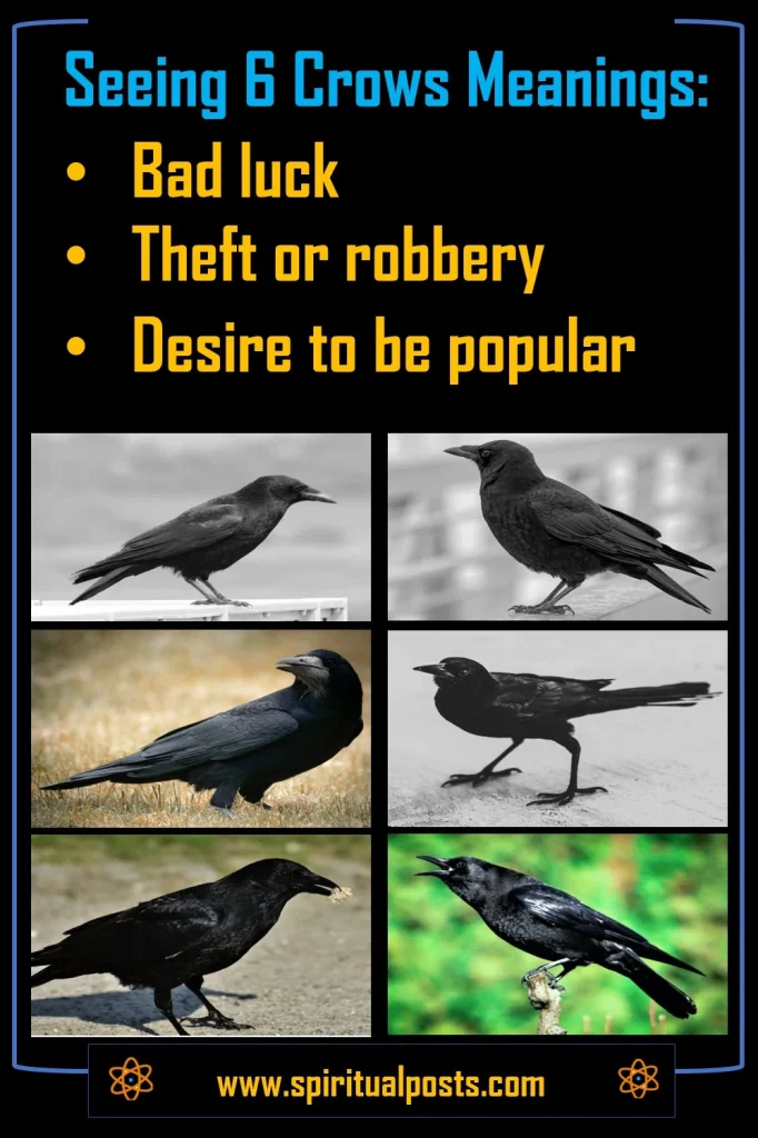 6-crows-meaning-symbolic