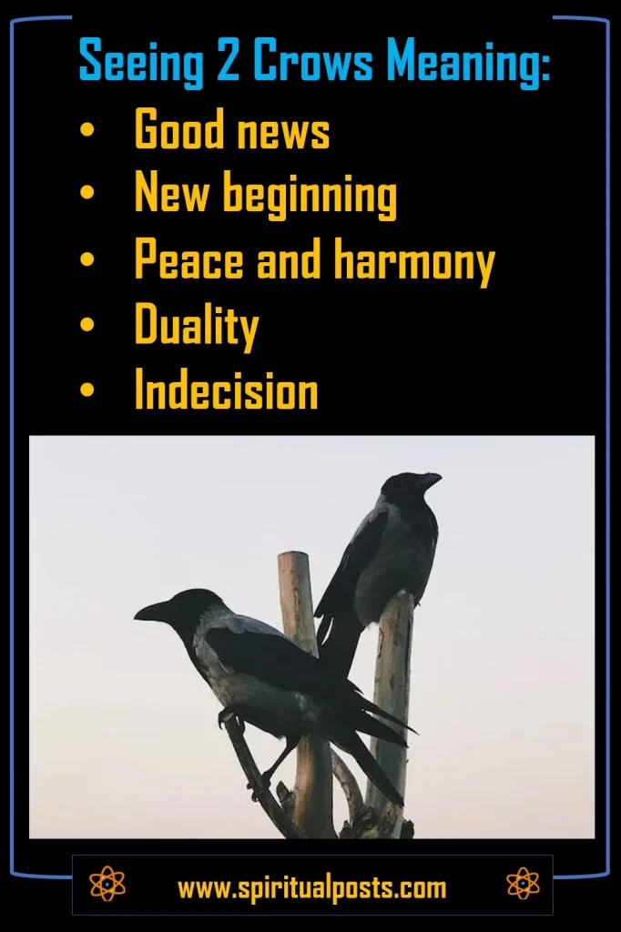 meaning-of-2-crows-spiritually