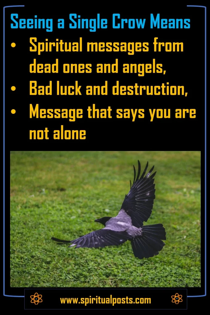 seeing-1-crow-meaning-spiritual