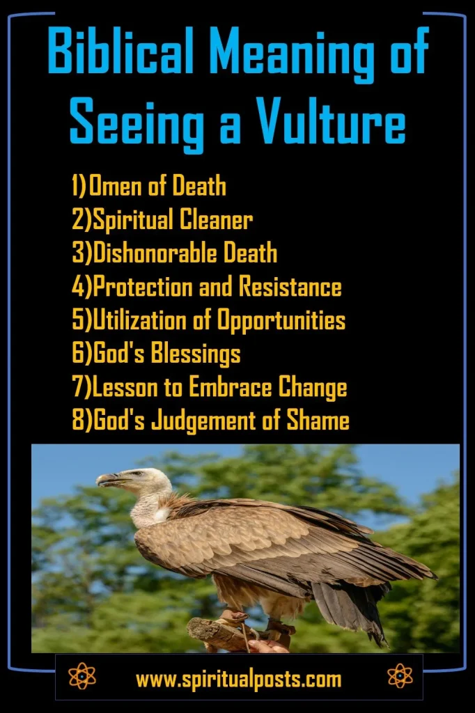 vulture-symbolism-in-the-bible