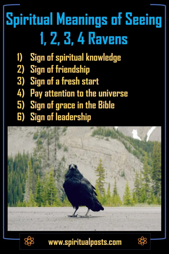 biblical-spiritual-meanings-of-seeing-2-3-4-ravens