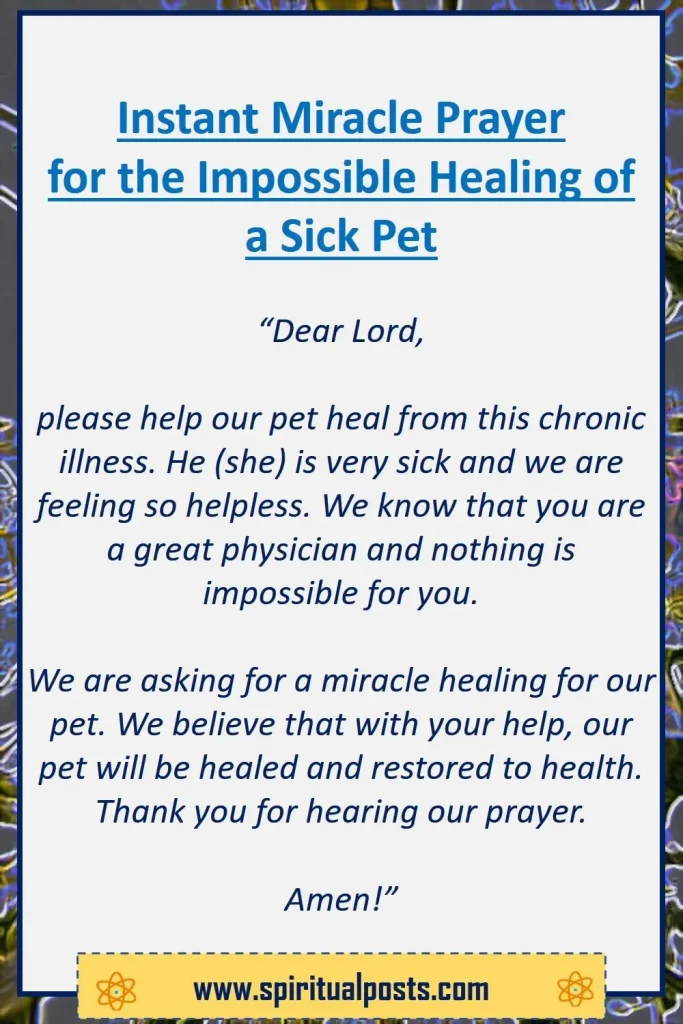 powerful-short-prayer-for-the-impossible-healing-of-a-sick-pet