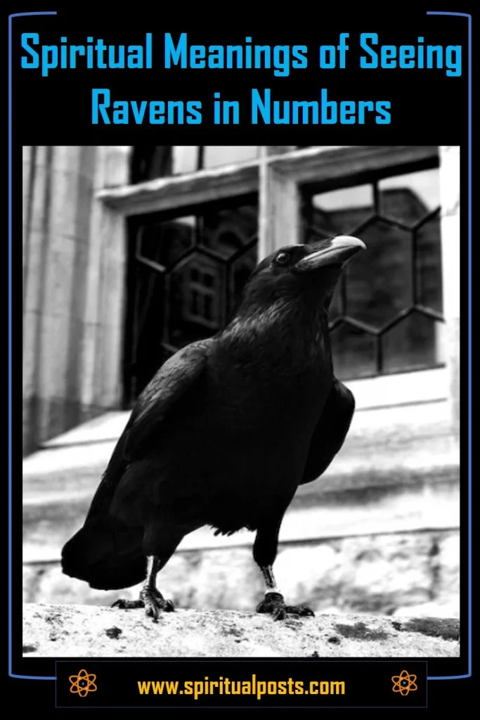 spiritual-meanings-of-seeing-ravens-in-numbers-2-3-4-ravens-symbolism
