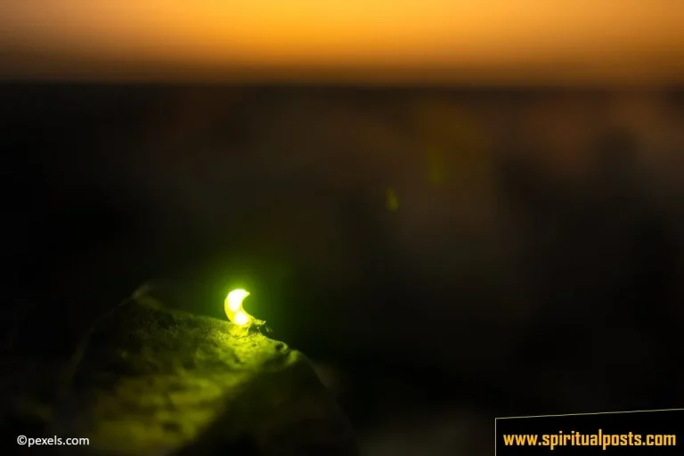 5 Spiritual Meanings of Firefly or Lightning Bug