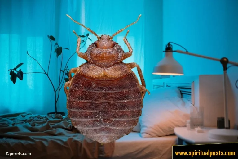 7 Spiritual Meanings of Bed Bugs (Bites in a Dream!)