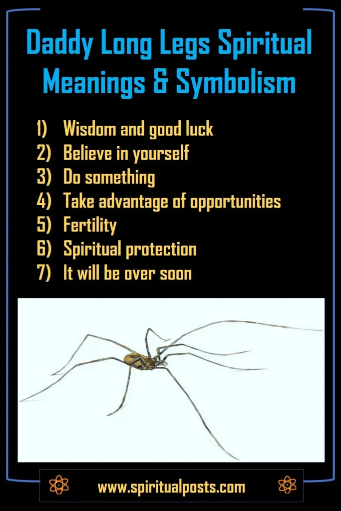 superstition-myths-legends-symbolism-spiritual-meanings-of-daddy's-long-legs