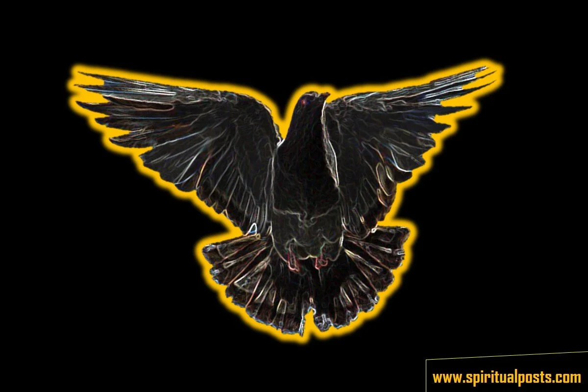 dove-on-fire-spiritual-meaning-burning-dove-biblical