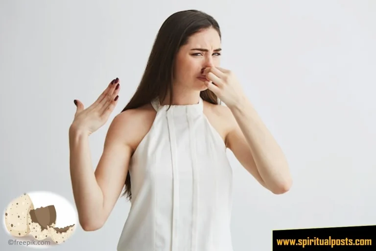 4 Spiritual Meanings of Rotten Egg Smell in The House