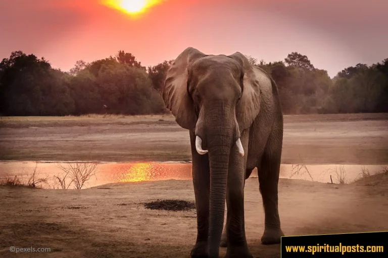 10 Spiritual Meanings of Elephant in a Dream (Good or Bad!)