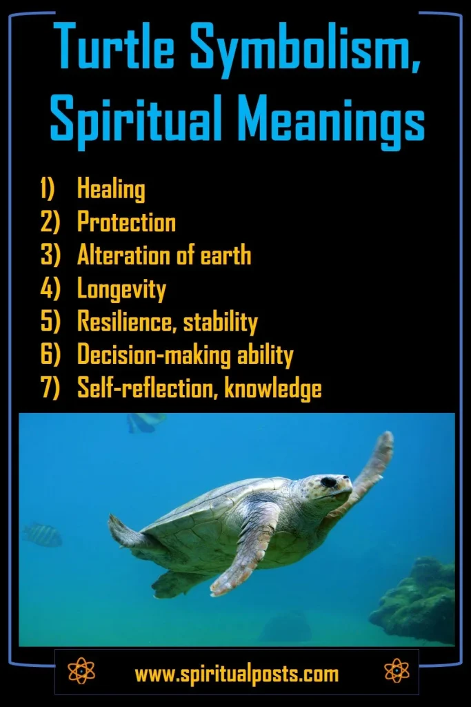 what-does-it-mean-when-a-sea-turtle-crosses-your-path-spiritually-symbolically
