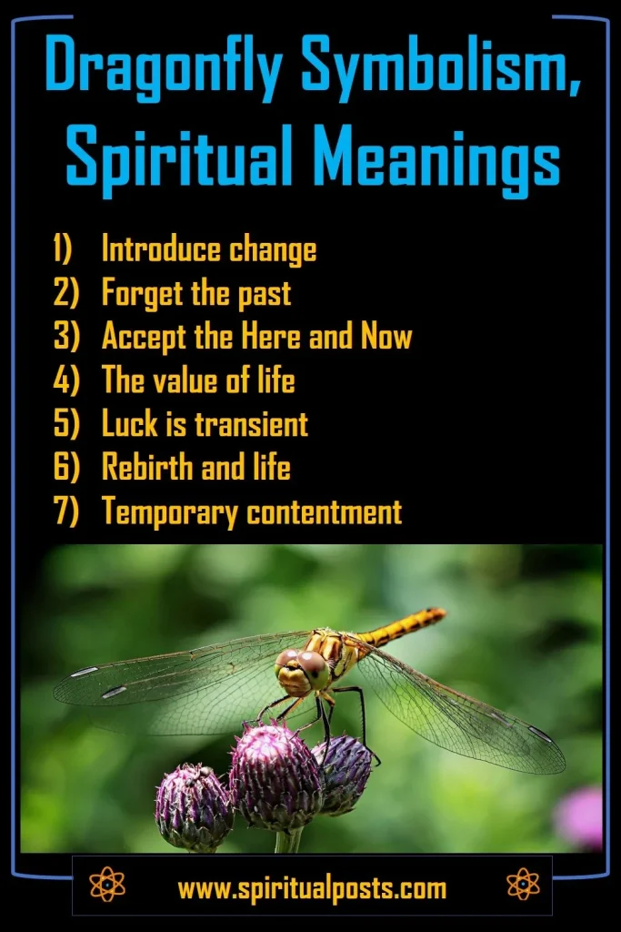 what-does-it-mean-when-you-see-different-colored-dragonfly-spiritually