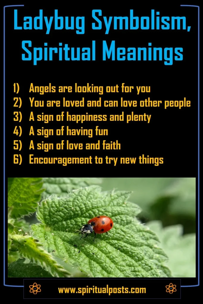 what-does-ladybug-mean-spiritually-biblically-dream-interpretation