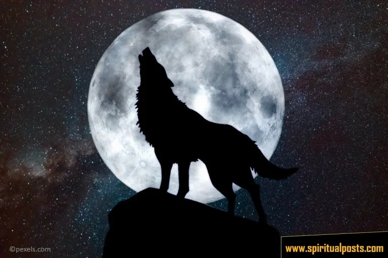 Wolf Howling at the Moon Spiritual Meanings, & Symbolism