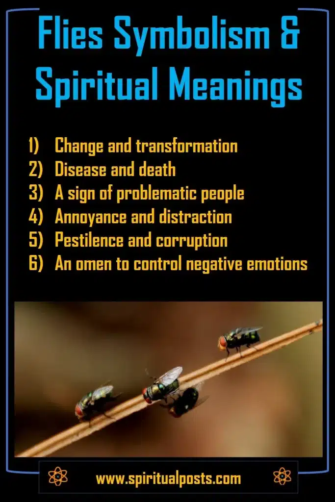 what-do-flies-mean-spiritually-symbolically-biblically