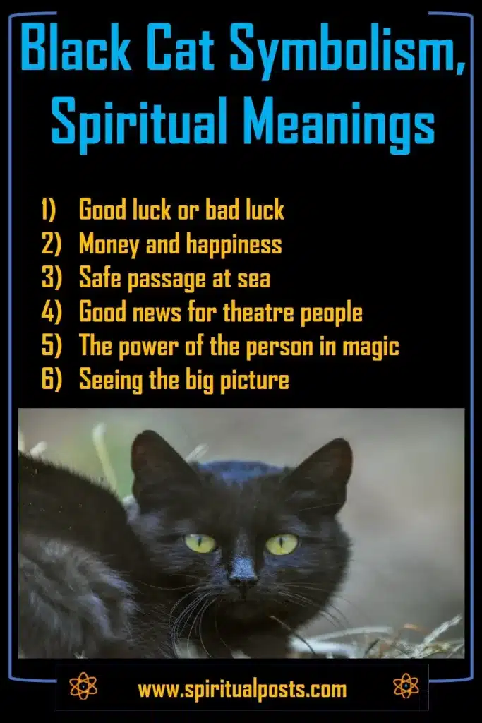 what-does-a-black-cat-mean-spiritually-in-different-cultures-bible-dream