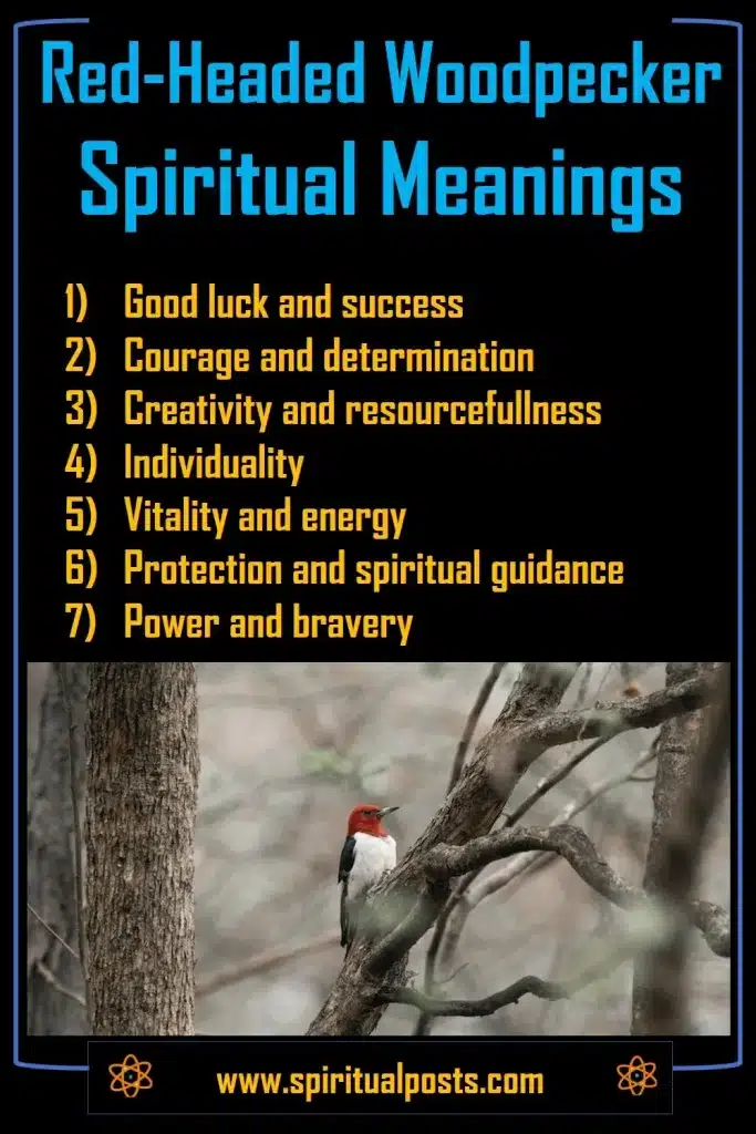 what-does-it-mean-to-see-a-red-headed-woodpecker-spiritually