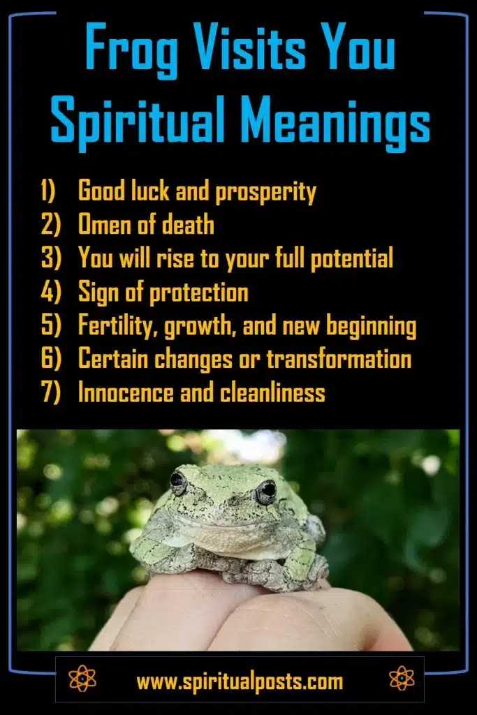 what-does-it-mean-when-a-frog-visits-you-or-crosses-your-path-spiritually