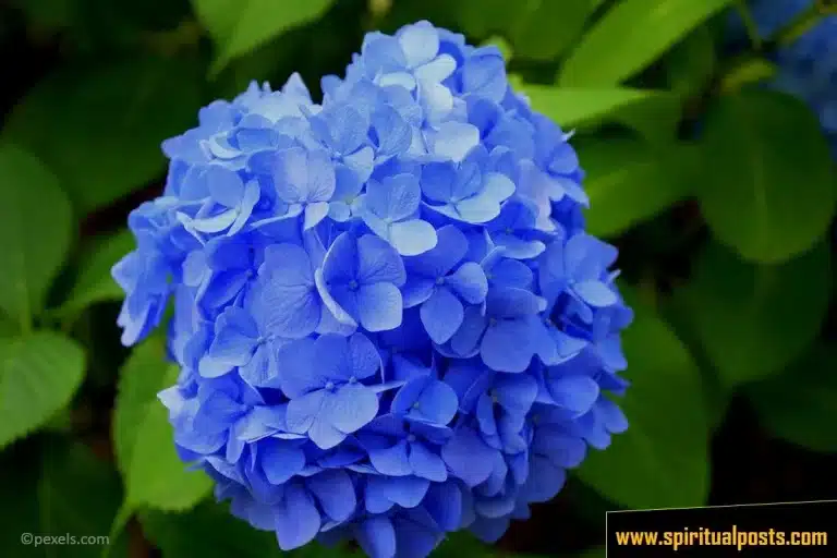 color-blue-spiritual-meaning-symbolism-psychology-biblical-dream-meanings