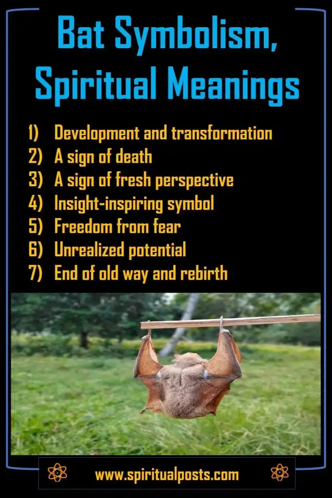 Bat Spiritual Meanings & Symbolism: A Sign of Death | Spiritual Posts