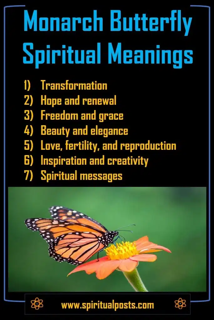 seeing-a-monarch-butterfly-flying-around-you-spiritual-meaning-messages-symbolism-biblical