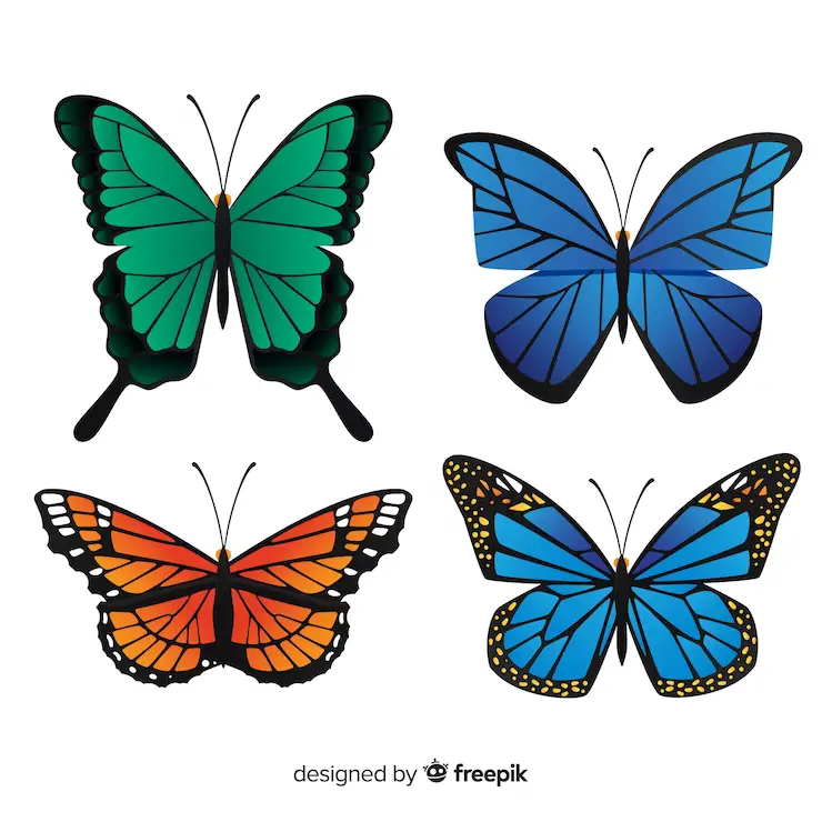 different-colored-butterflies-and-their-symbolic-meanings