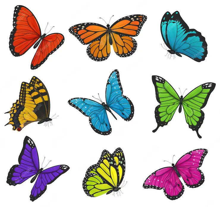 different-types-of-butterflies-and-their-spiritual-meanings