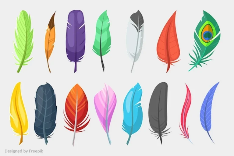 Feather Spiritual Meanings & Symbolism: Different Types & Colors
