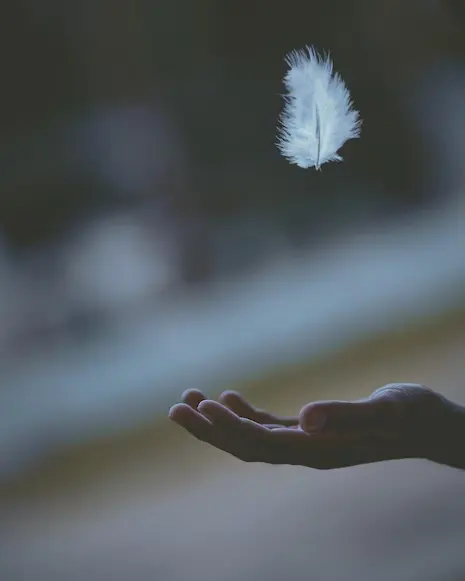 feather-spiritual-meaning-symbolism