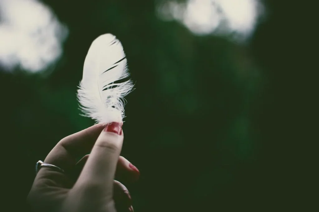 feather-symbolism-means-freedom-protection-love