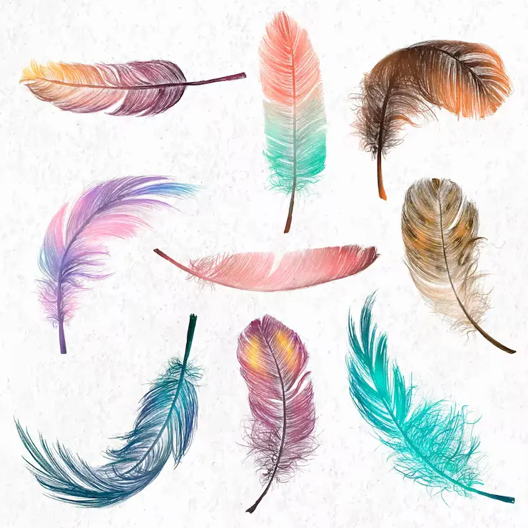 spiritual-meaning-of-feather-different-colors-symbolism