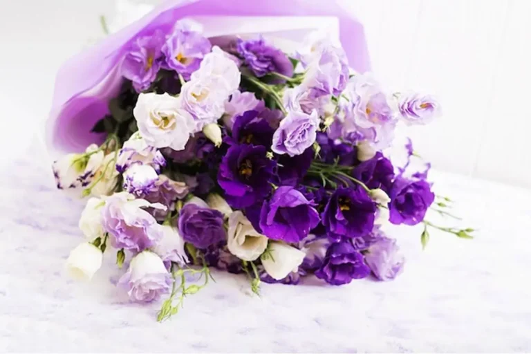 10 Spiritual Meanings of Purple Rose & Symbolism