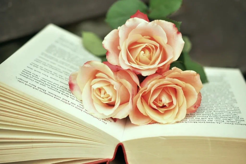 spiritual-significance-of-the-rose-flower
