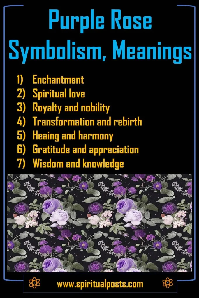 what-does-purple-rose-mean-spiritually-symbolically