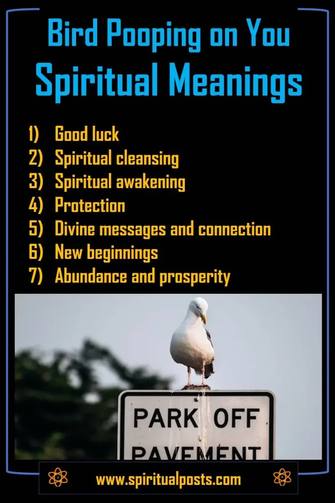 The Spiritual Meanings of Bird Poop on a Car