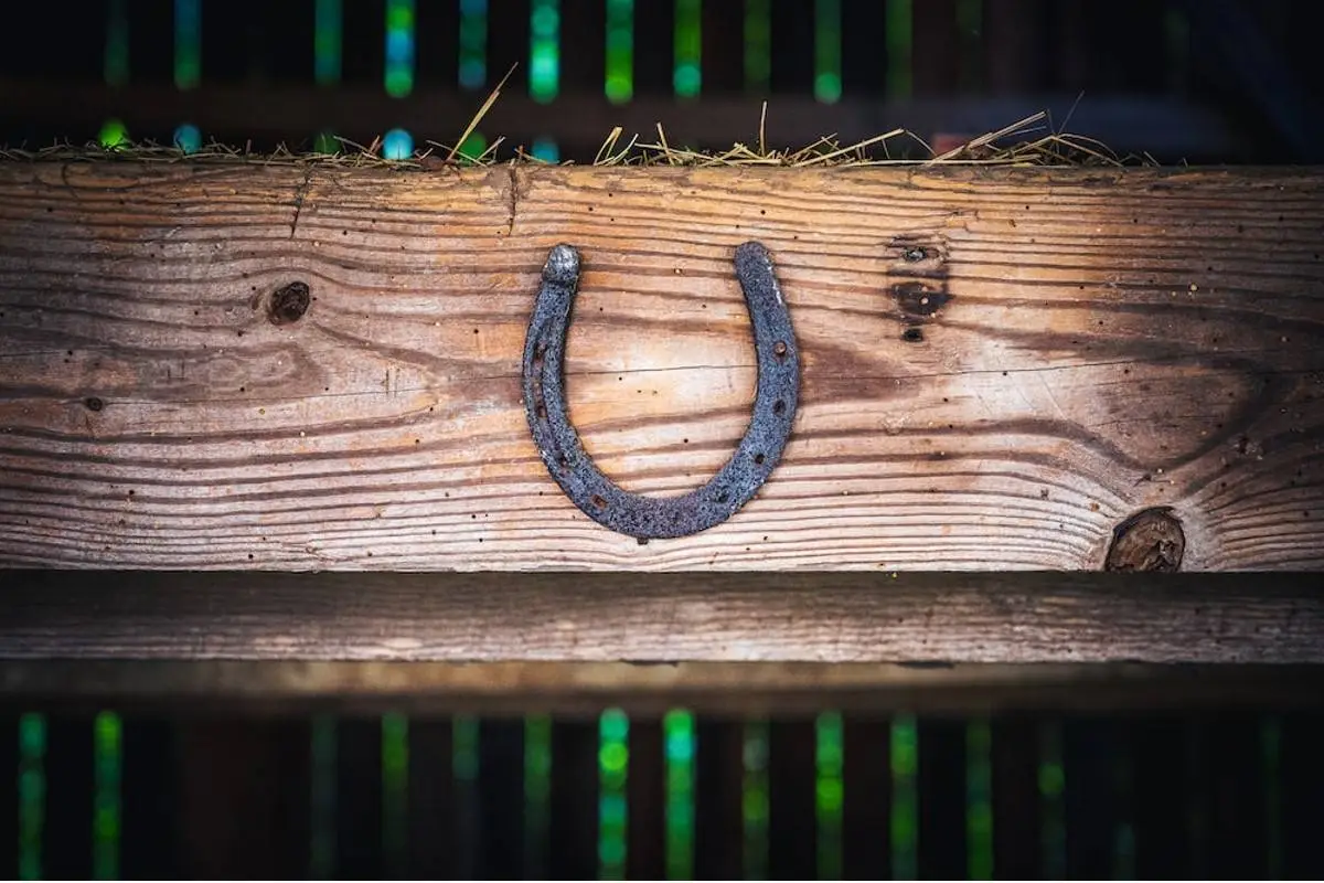 horseshoe-spiritual-meaning-hang-it-above-door-for-good-luck-prosperity-good-health