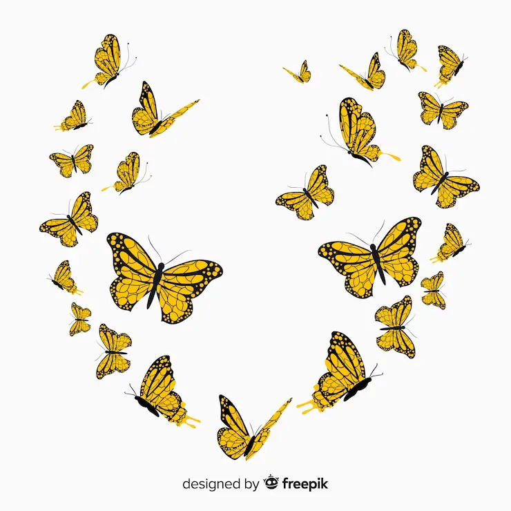 types-of-yellow-butterflies-and-their-spiritual-meanings