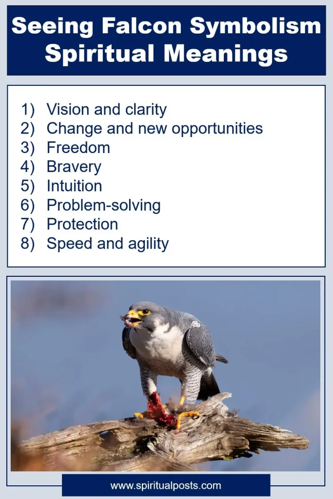 what-does-it-mean-to-see-falcon-spiritually