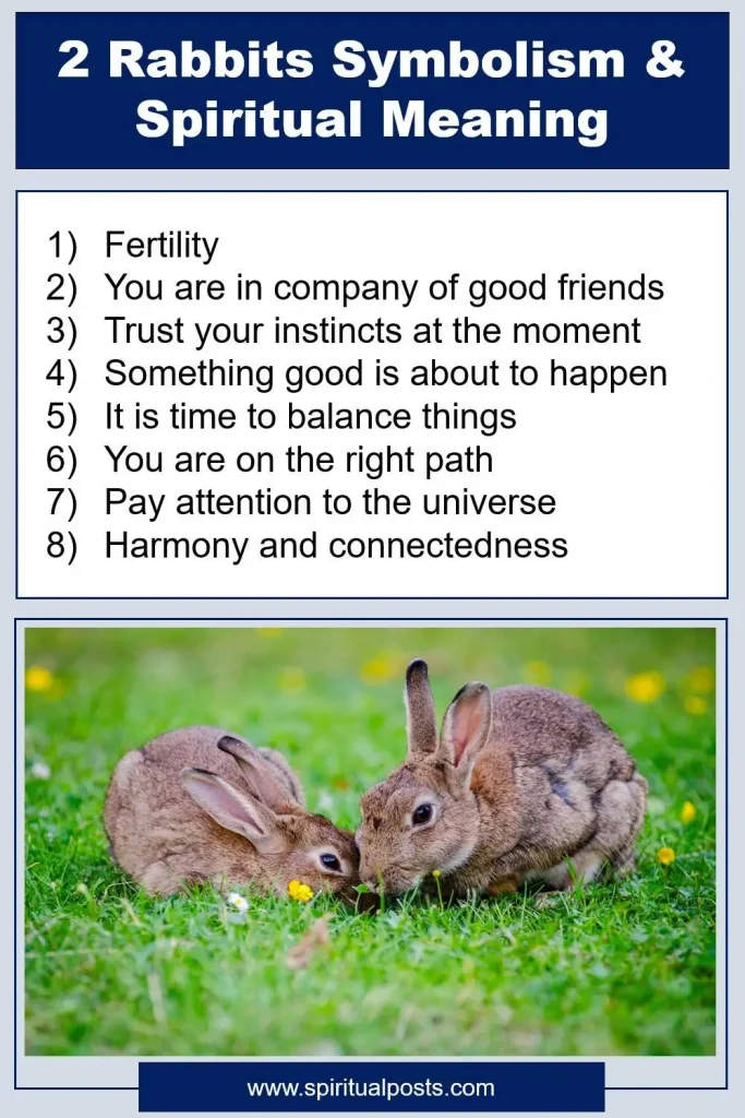 what-does-it-mean-to-see-2-rabbits-spiritually
