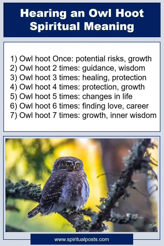 what-does-it-mean-when-you-hear-an-owl-hooot-several-times