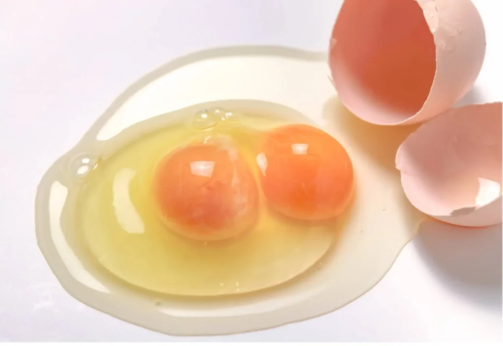Spiritual & Biblical Meaning of a DoubleYolk Egg (2 Yolks) Spiritual