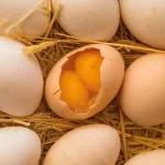 spiritual-biblical-meaning-of-double-yolk-egg-2-yolks-in-one-egg