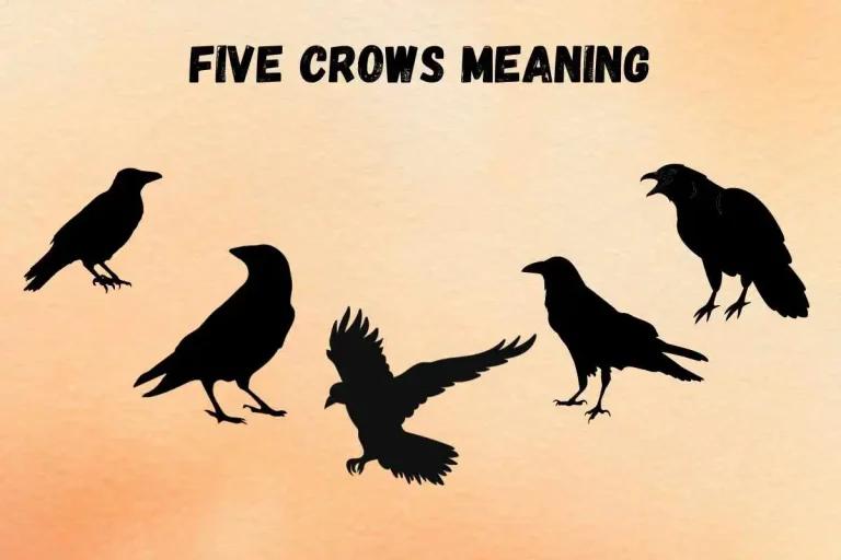 seeing-5-crows-spiritual-meaning-and-symbolism